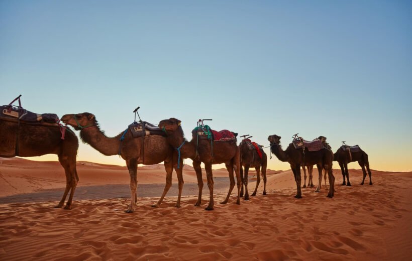 Marrakech to the Sahara: 7-Day Desert Journey