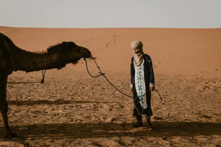 2 Days Fes Desert Tour To Merzouga