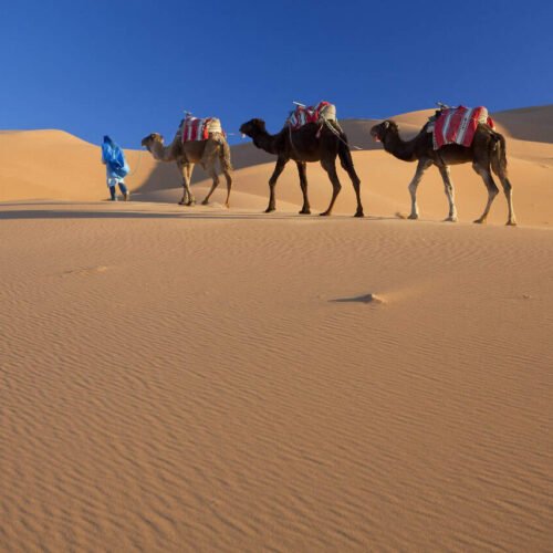 5 Days Marrakech To Fes Desert Tour