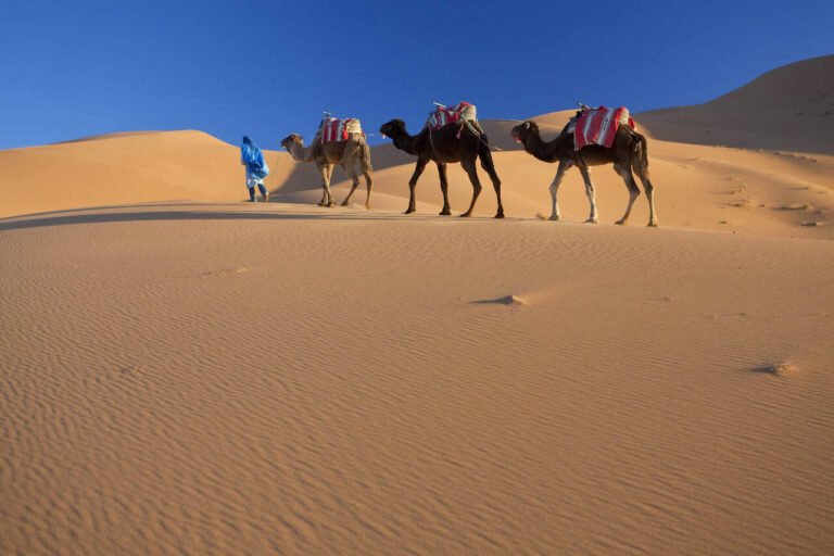 5 Days Marrakech To Fes Desert Tour